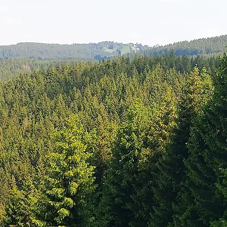 Ferienwohnung-wilmes Appartamento Winterberg