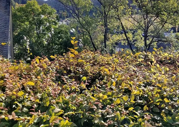 Appartement Ferienwohnung-wilmes Winterberg