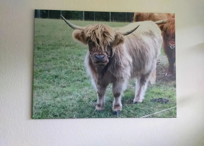 Ferienwohnung-wilmes *