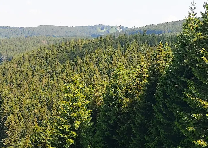 Ferienwohnung-wilmes Appartement Winterberg